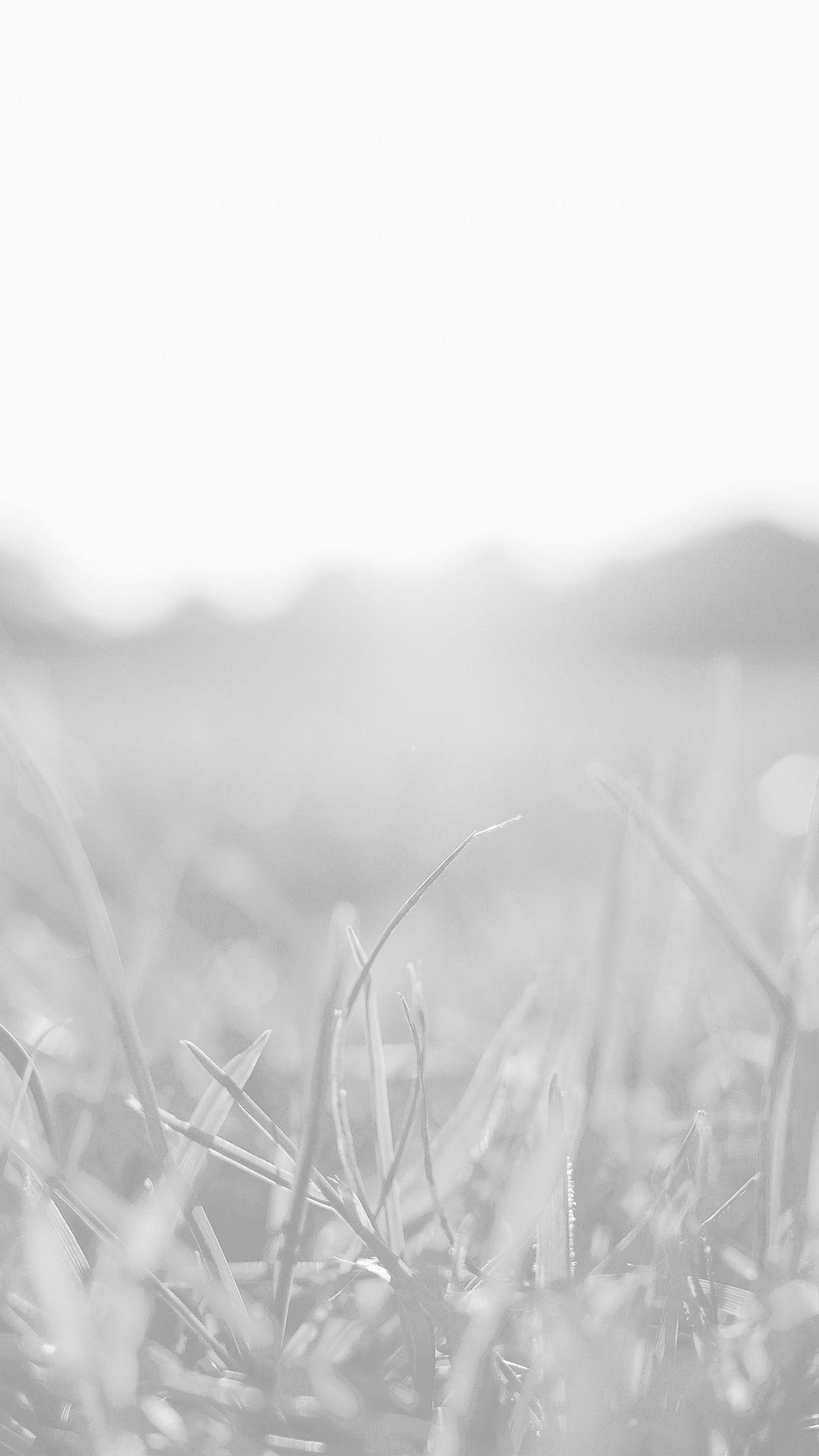 1242x2208 White Wallpaper Android