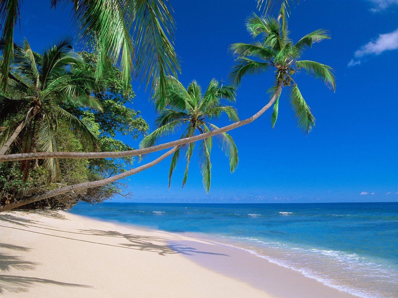1600x1200 Beach Landscape Sky Kadavu Island Tropical Beaches Wallpaper