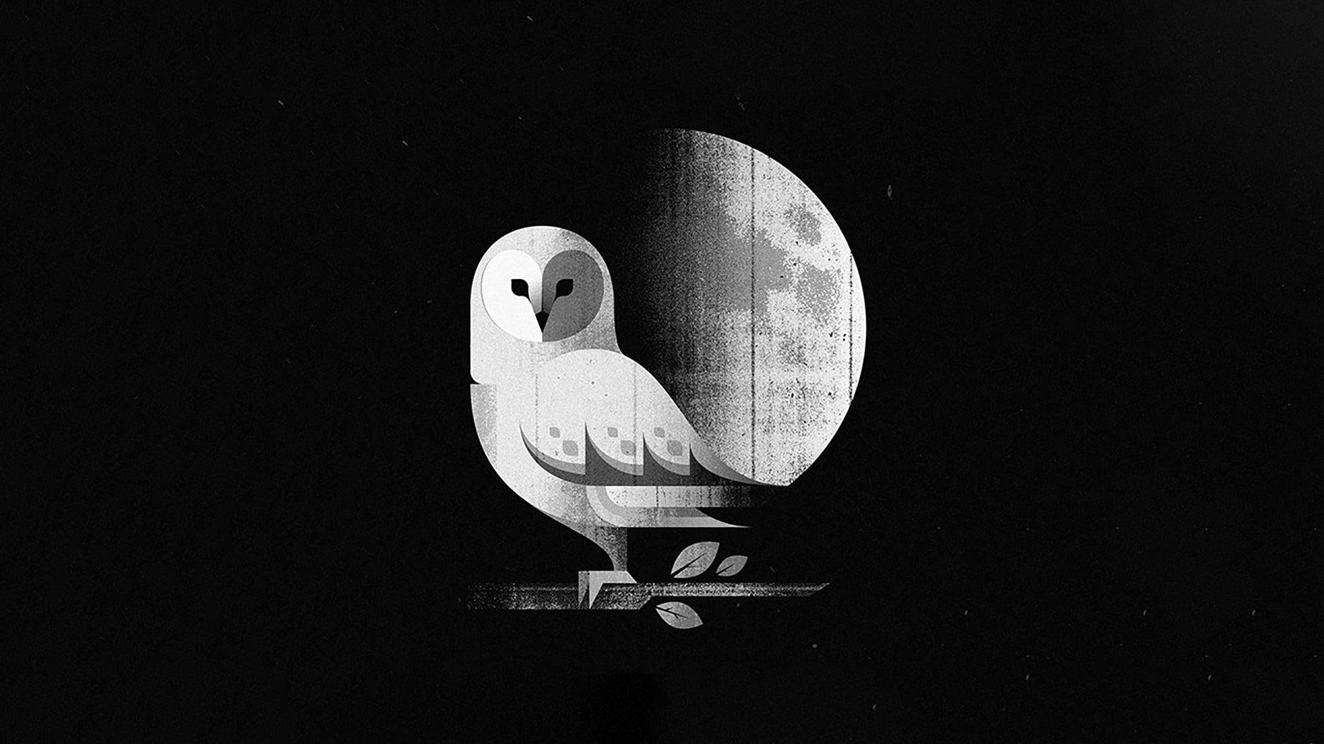 Owl Minimalist Wallpapers - Top Free Owl Minimalist Backgrounds