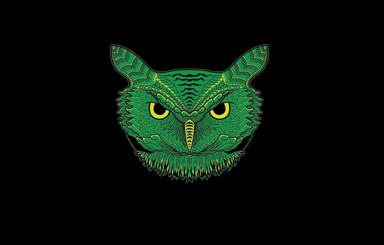1332x850 Wallpaper green, owl, minimalism, head, black background, owl