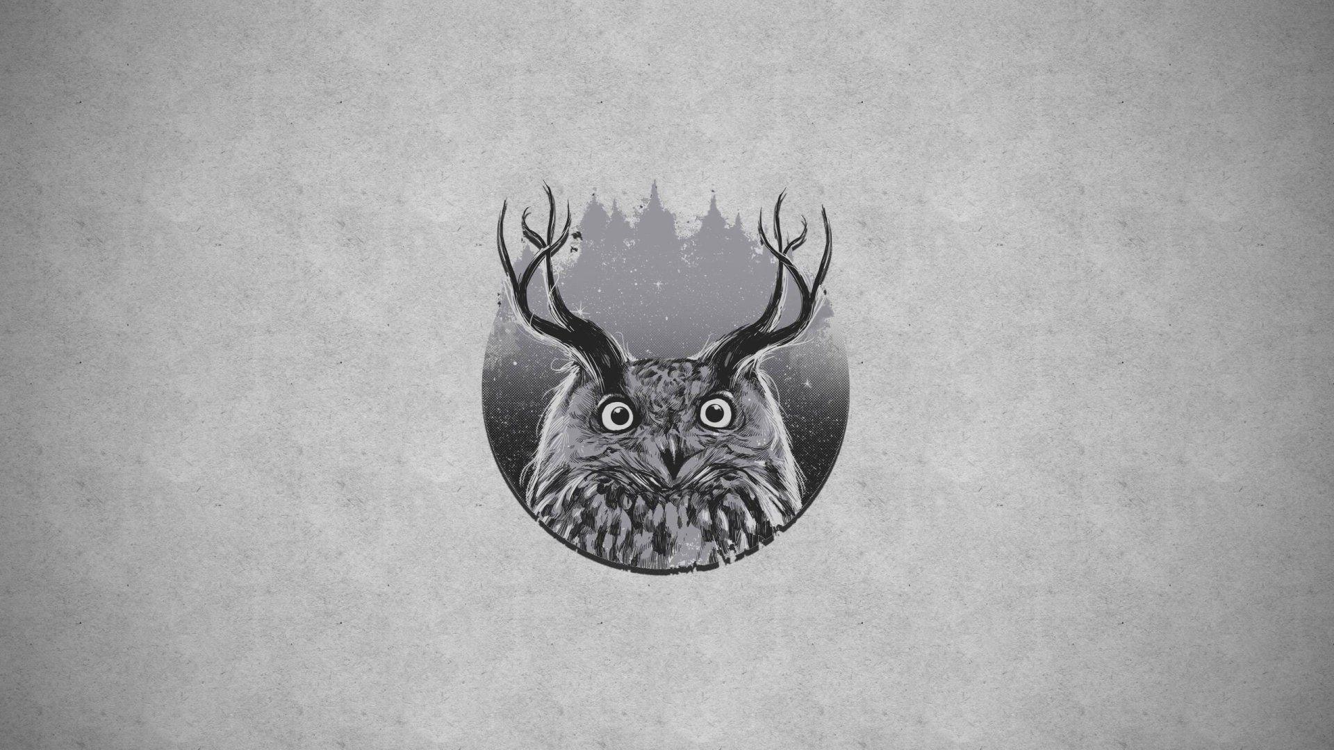 1920x1080 Animal, Forest, Horns, Owl Wallpaper