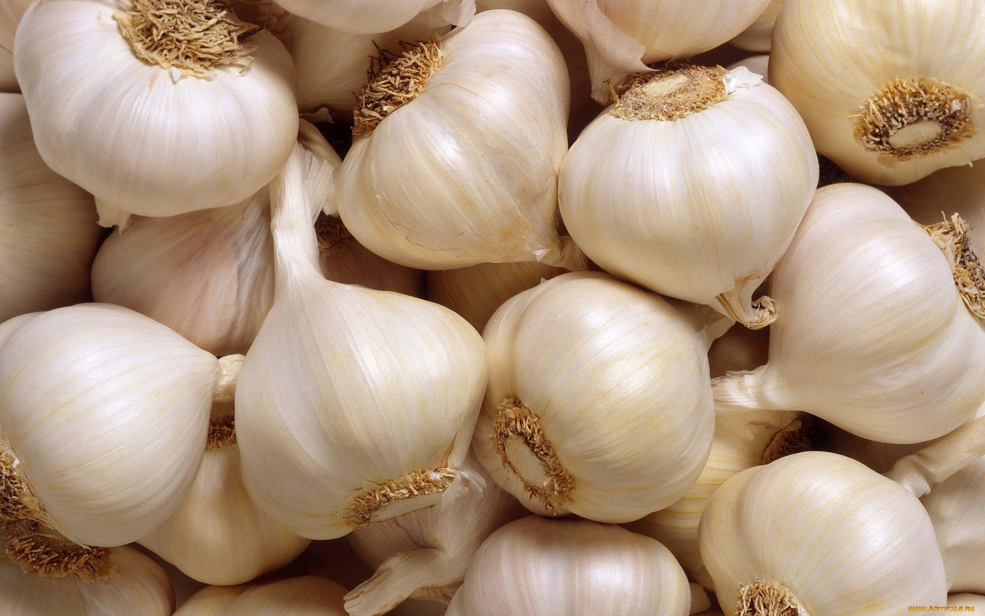Garlic Wallpapers - Top Free Garlic Backgrounds - WallpaperAccess