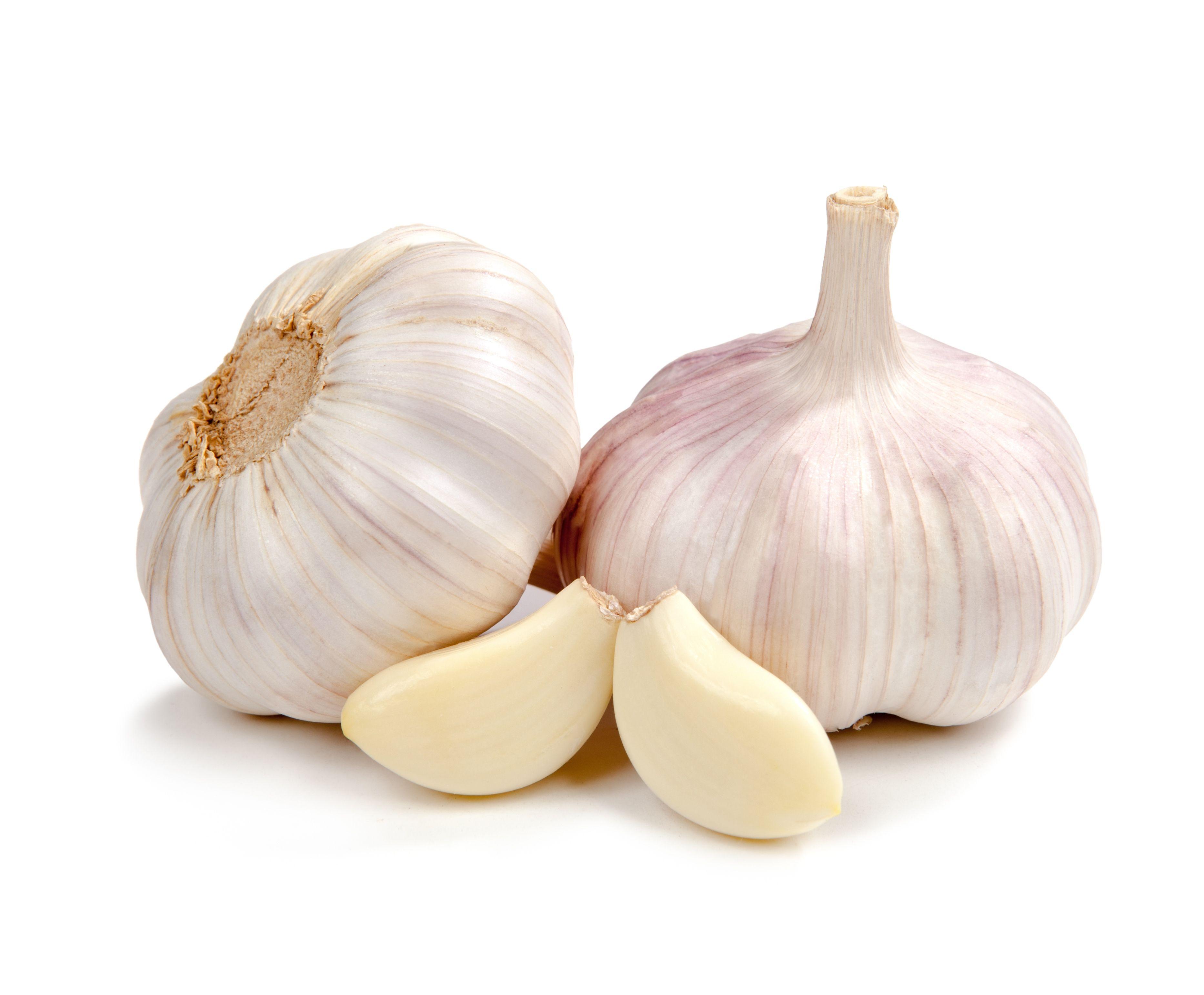 Garlic Wallpapers - Top Free Garlic Backgrounds - WallpaperAccess
