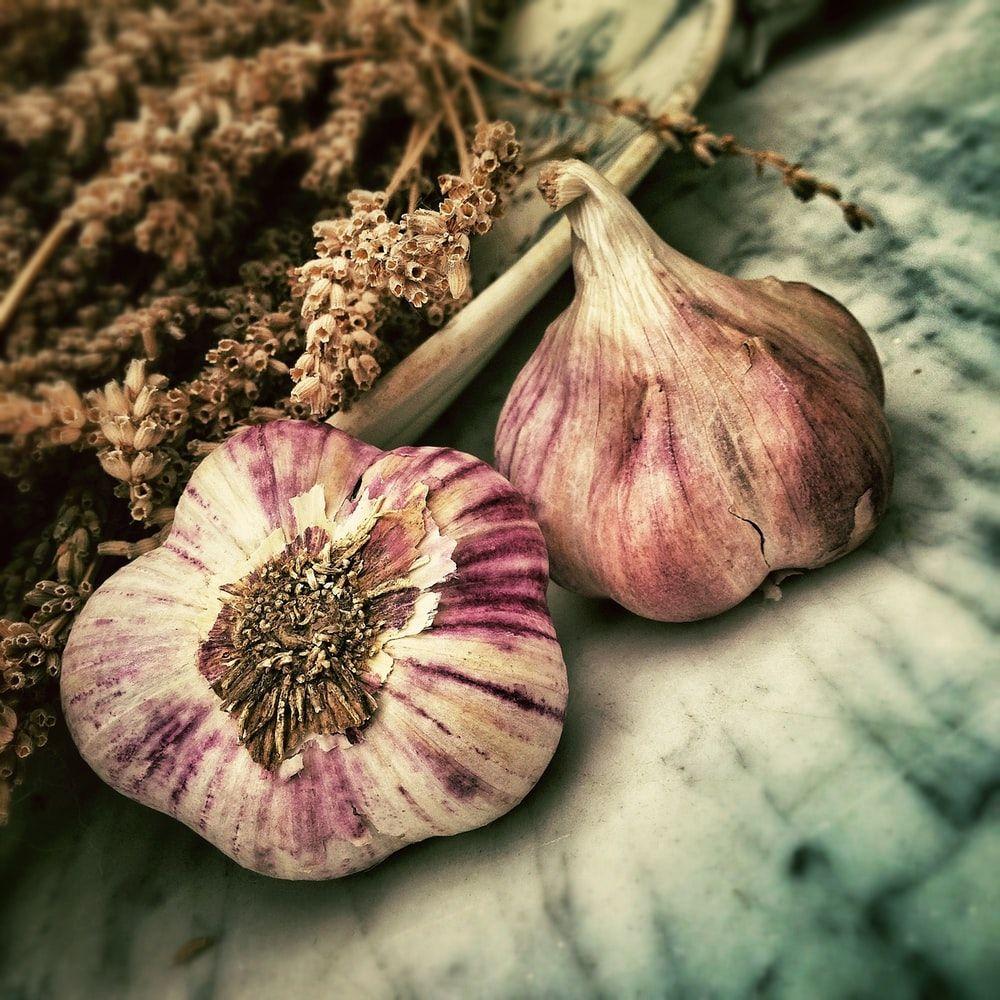 Garlic Wallpapers - Top Free Garlic Backgrounds - WallpaperAccess