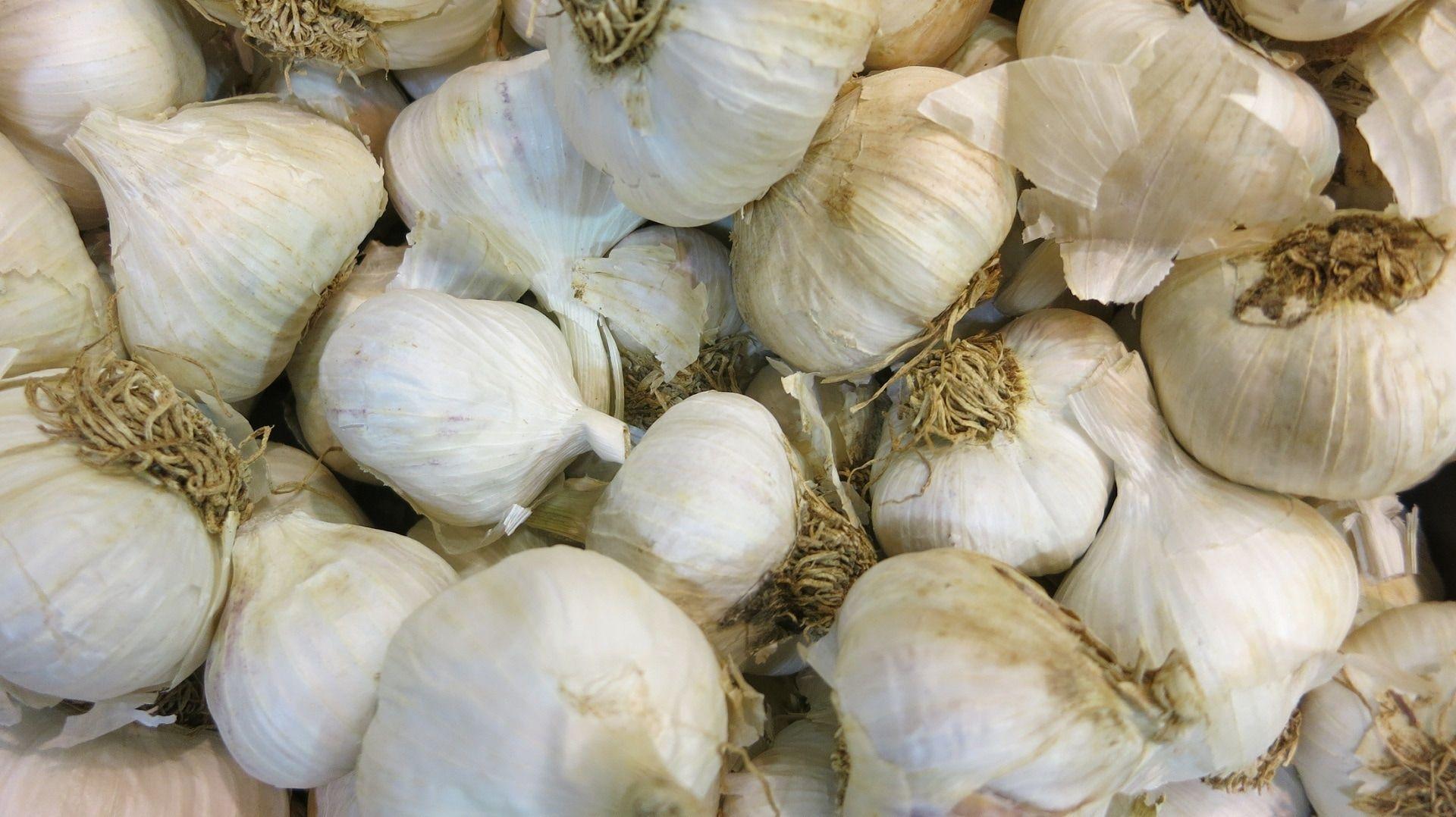1920x1078 royalty free garlic image
