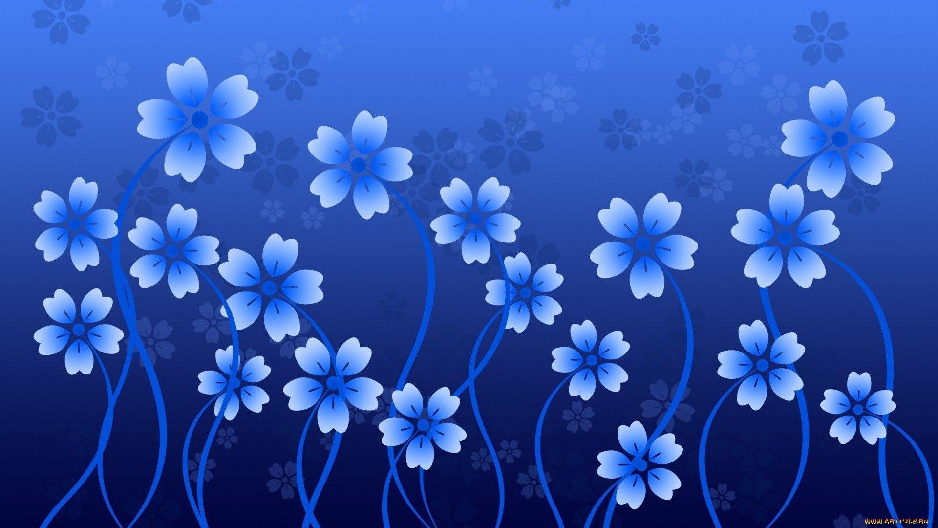 1920x1080 Blue Flower Wallpaper: 26 Image, Nature Category