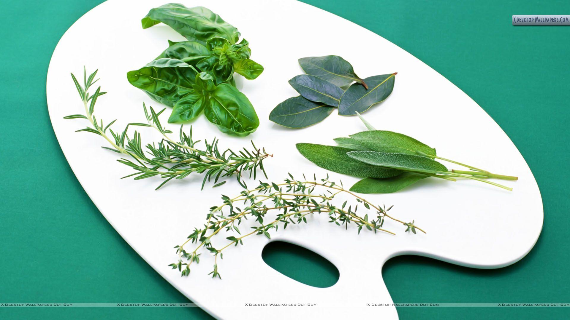 1920x1080 Medicinal Herbs Wallpaper. Medicinal