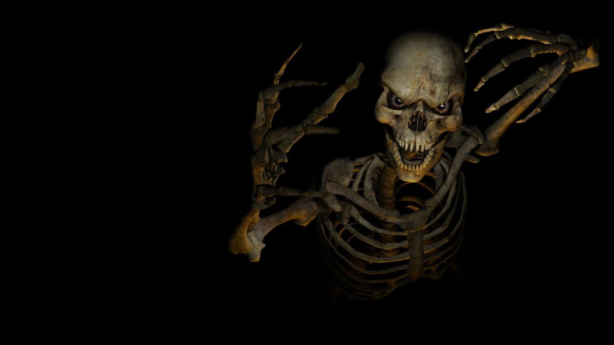 1245x700 HALLOWEEN skeleton skull wallpaperx1440