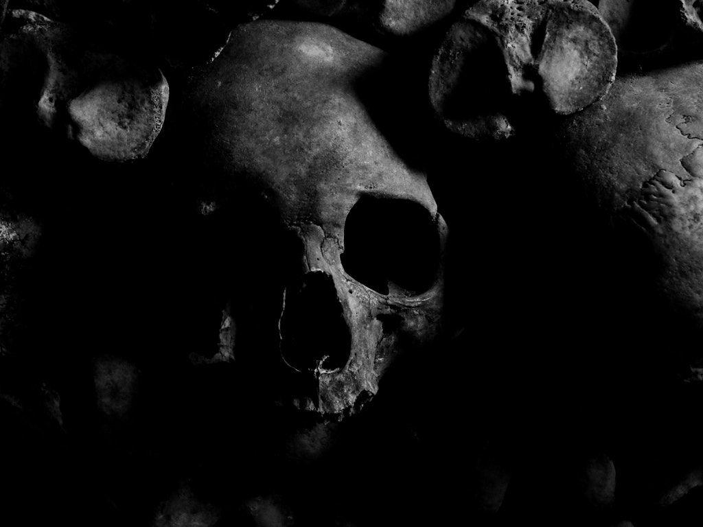 1024x768 Skull HD Wallpaper and Background Image