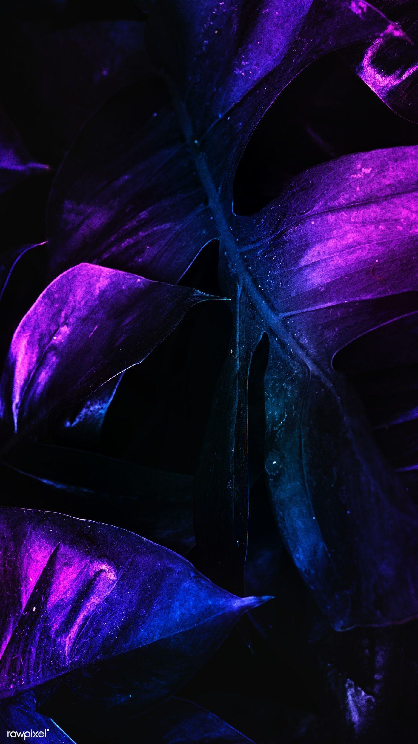 Download Neon Wallpapers 4K MOD APK v5602 for Android
