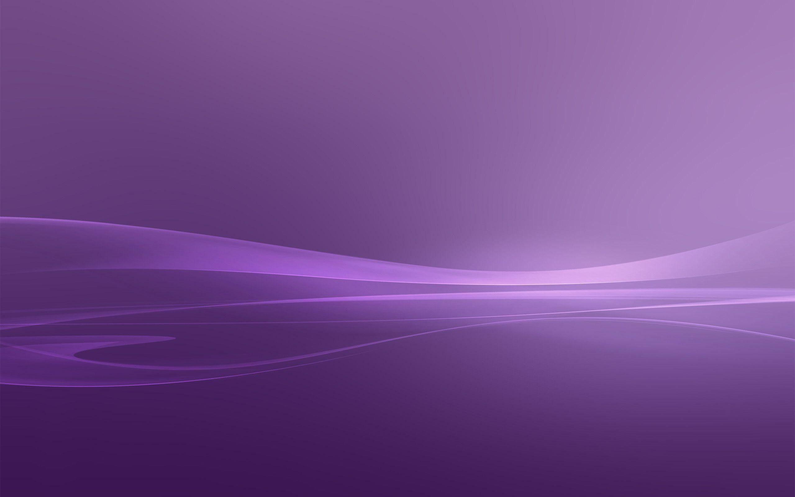 Lavender Background Photos and Wallpaper for Free Download