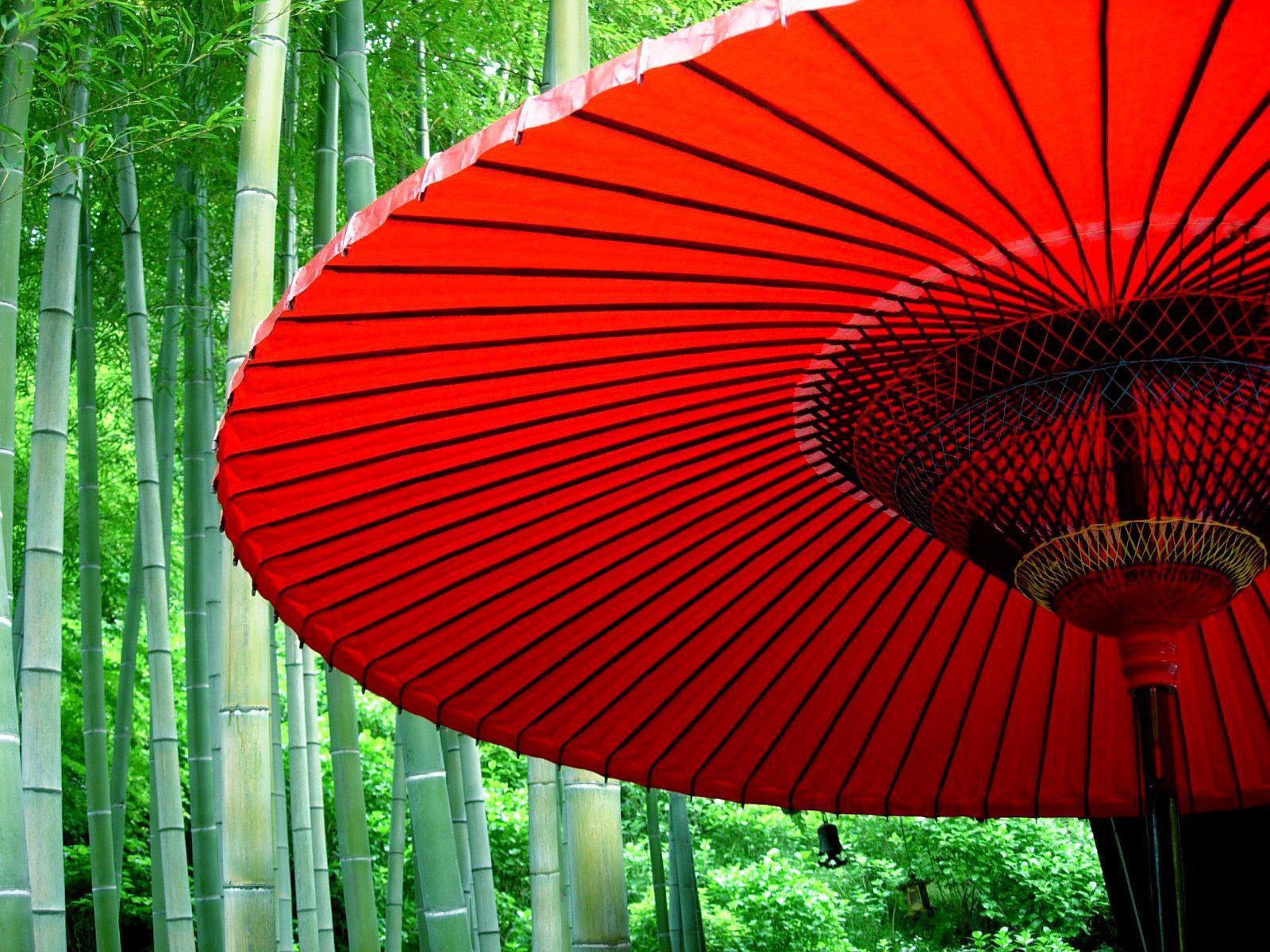 Japanese Umbrellas Wallpapers - Top Free Japanese Umbrellas Backgrounds