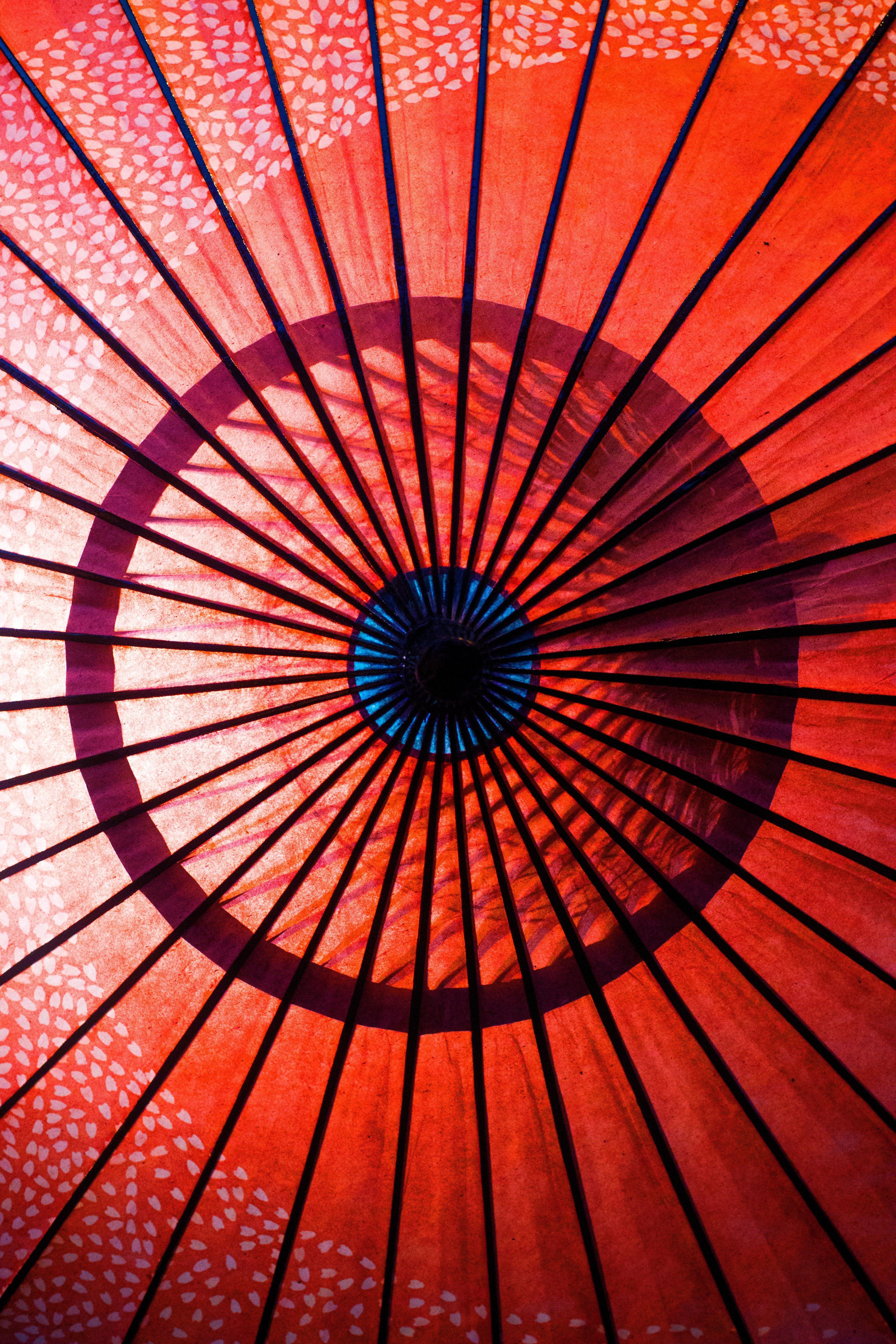 3478x5217 Red Umbrella · Free