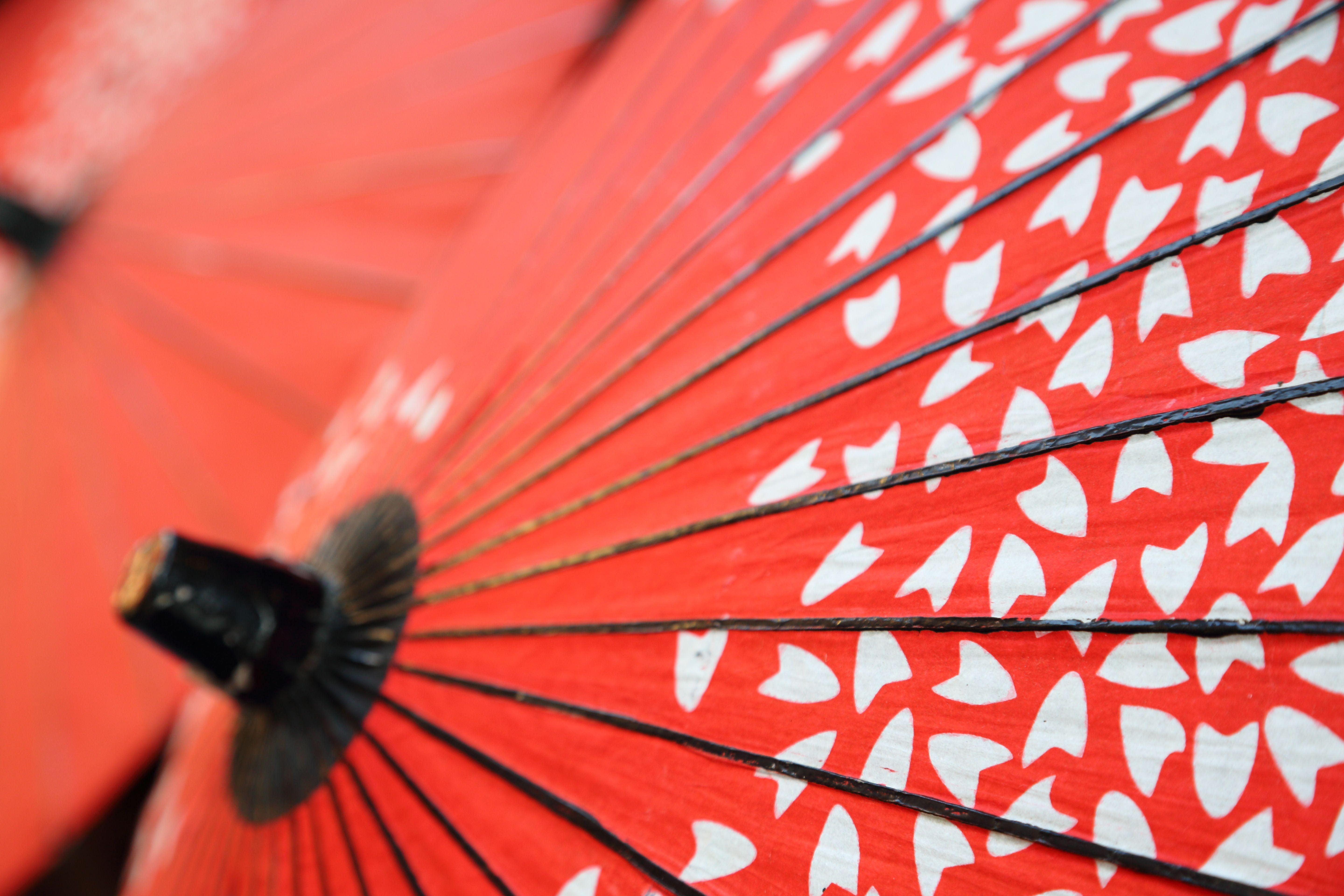 Japanese Umbrellas Wallpapers - Top Free Japanese Umbrellas Backgrounds