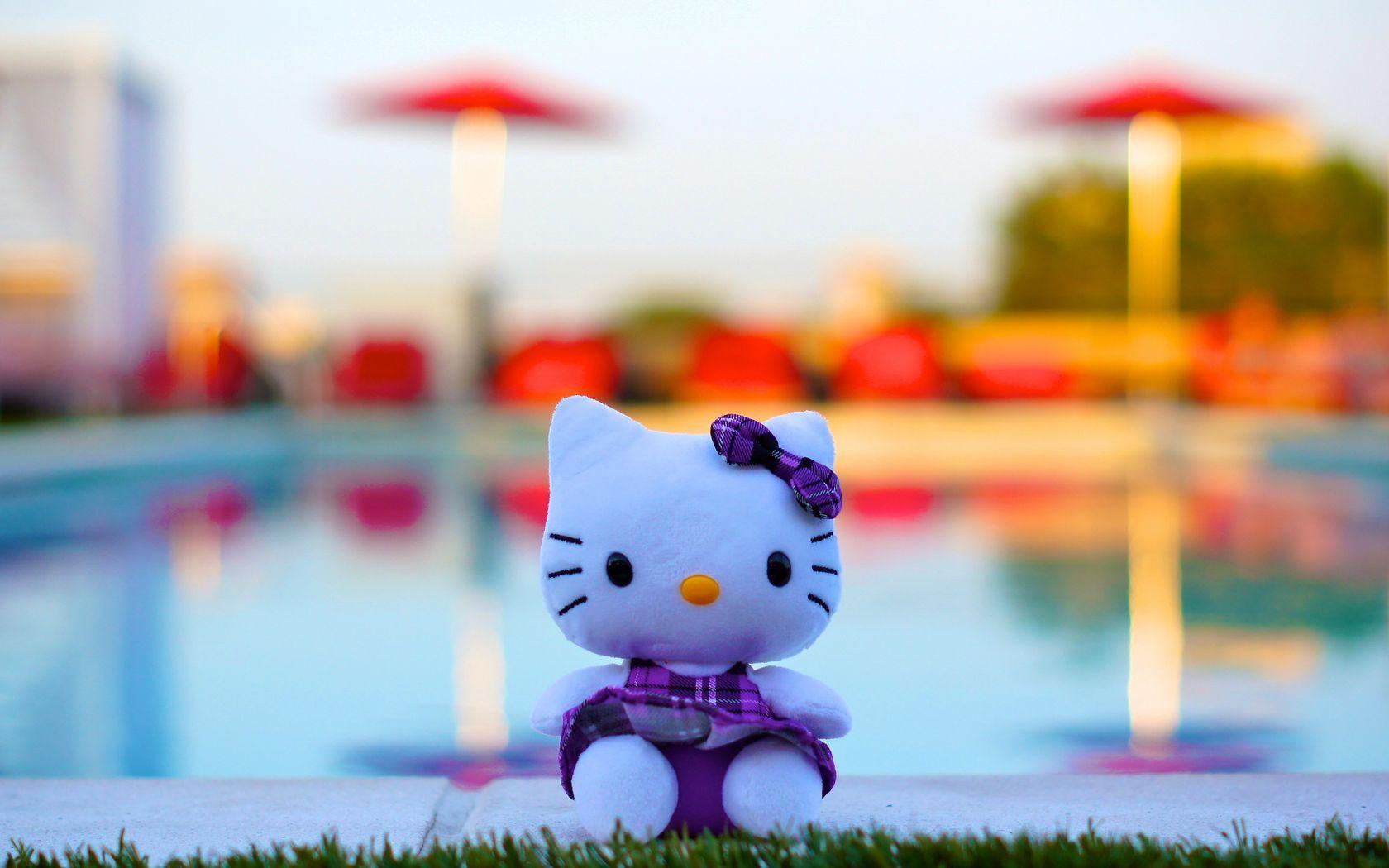 1680x1050 Download wallpaper 1680x1050 toy, kitten, bow, cute widescreen 16