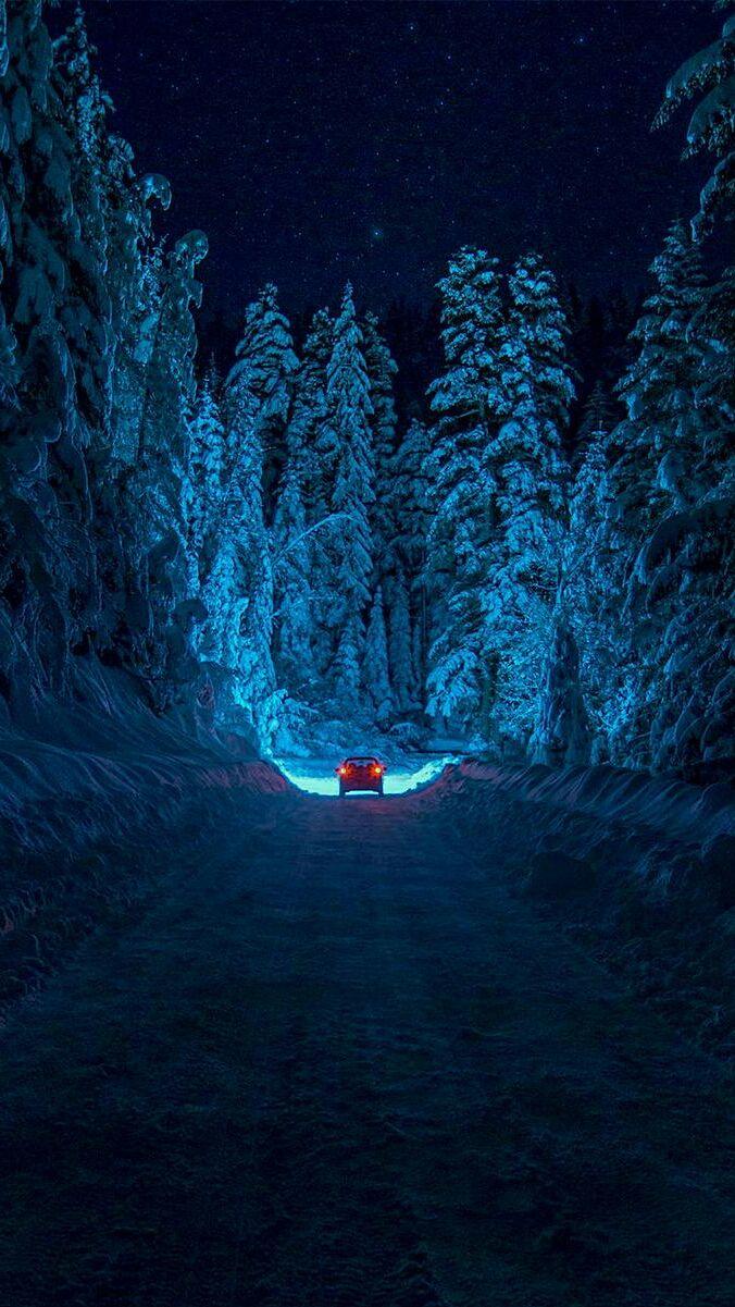676x1201 Xmas Winter Mobile Wallpaper