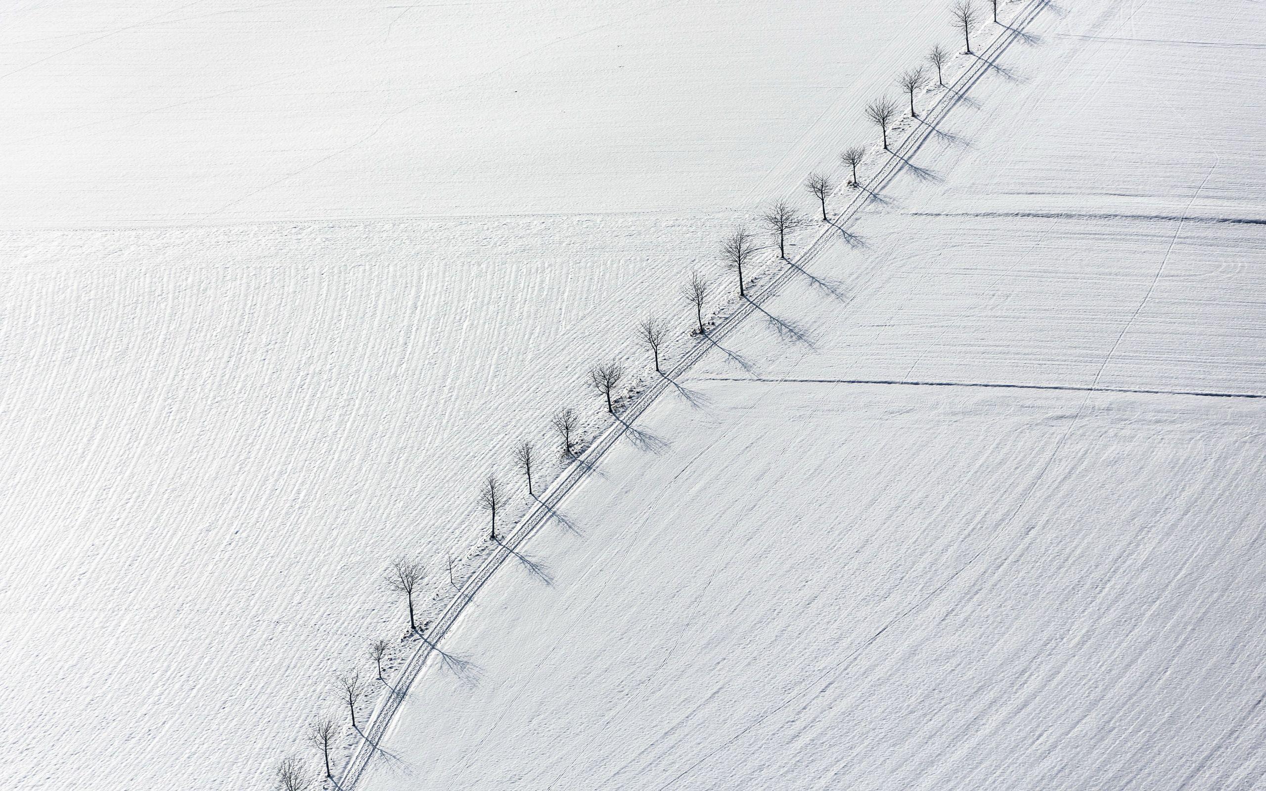 2560x1600 Minimalist Nature Wallpaper