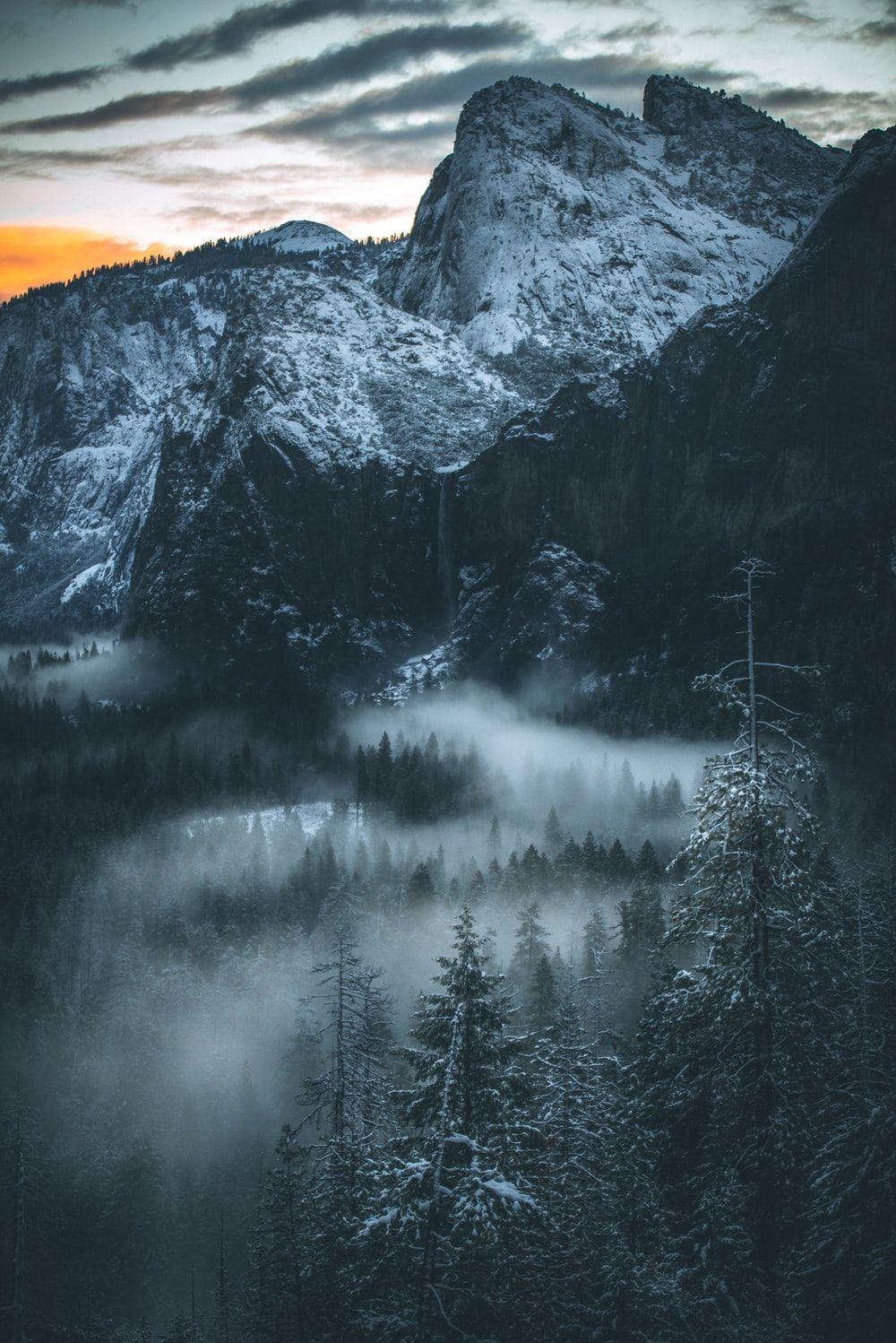 1000x1498 iPad Wallpaper: Free HD Download [HQ]