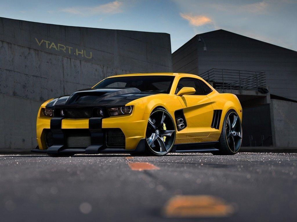 1024x768 Bumblebee 2016 Wallpaper HD