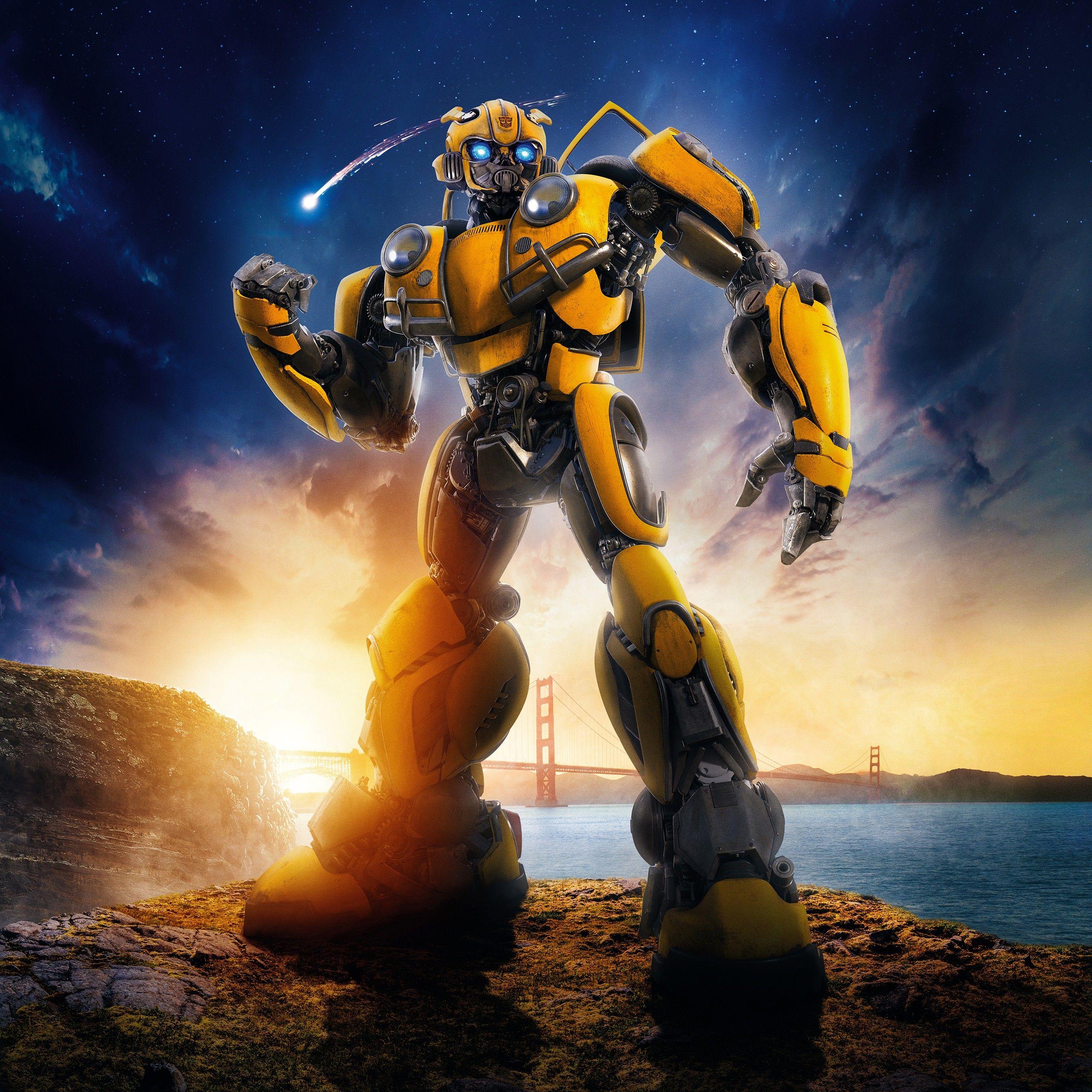 2560x2560 Bumblebee 4K 8K Wallpaper