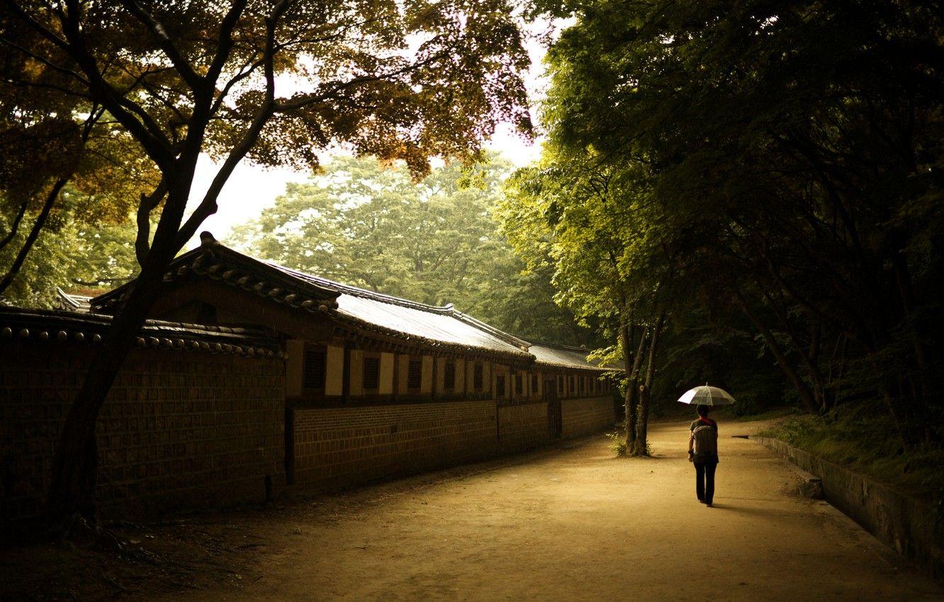 1332x850 Wallpaper girl, wall, umbrella, solace, Seoul, the Palace