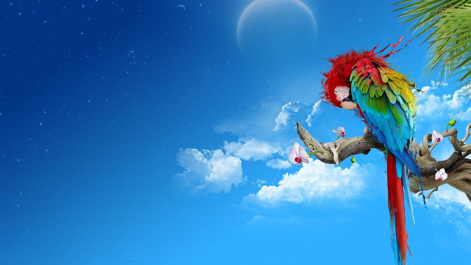1600x900 Wallpaper Desktop Wallpaper Free Online: Abstract Wallpaper