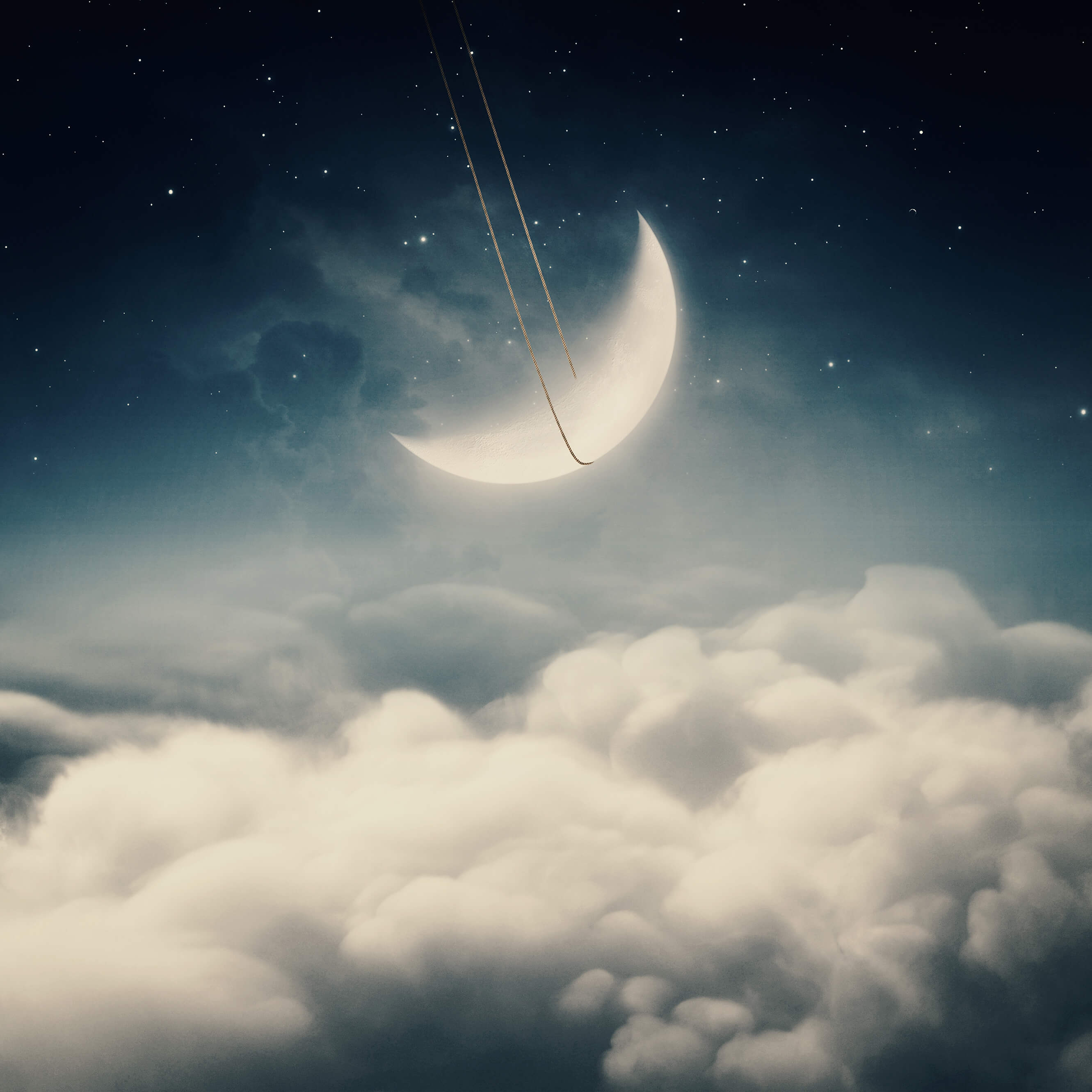 2662x2662 What is reddit's opinion of Walli Wallpaper & Background?