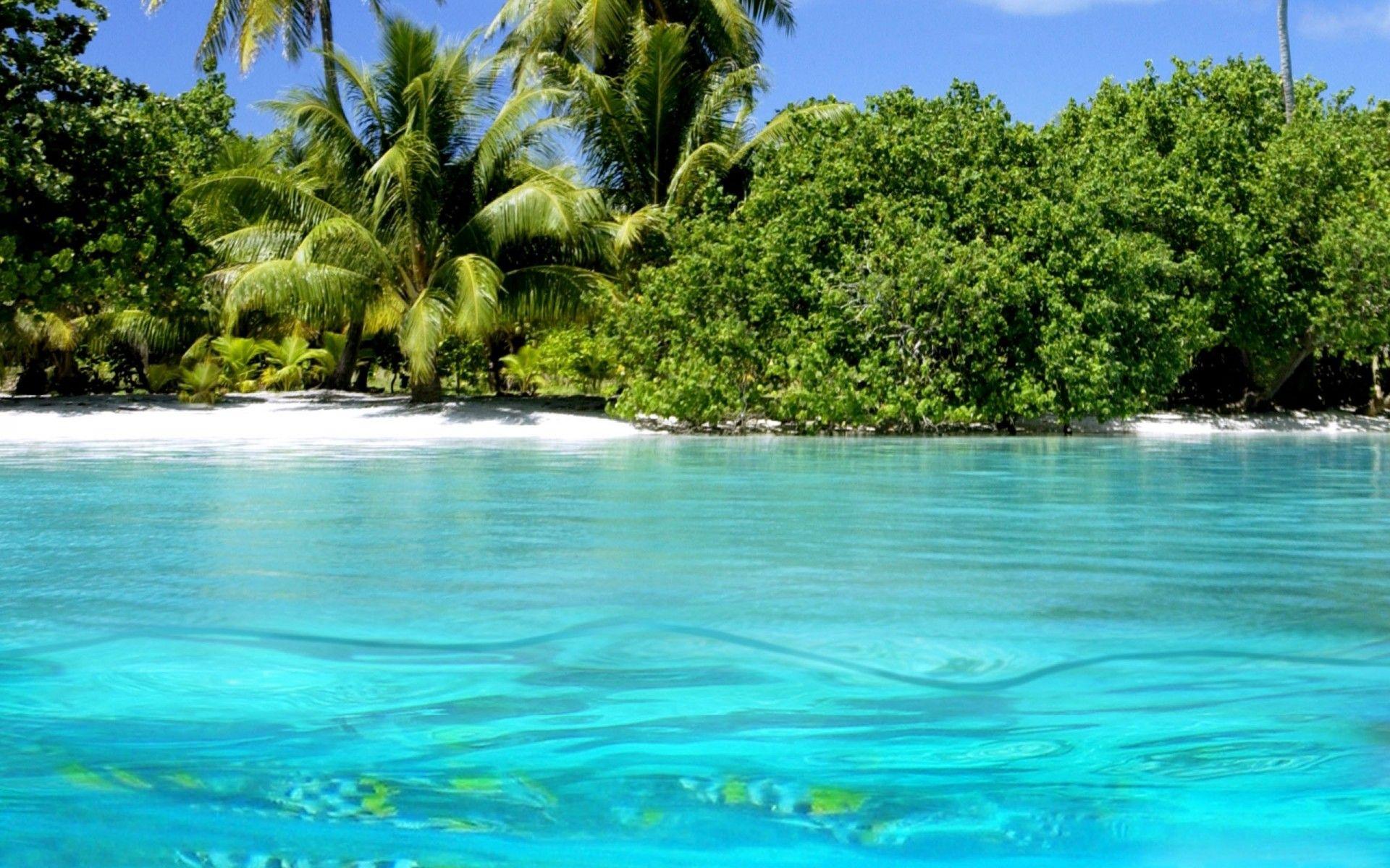 1920x1200 Free download SuperHDpics Coast low resolution tropical water