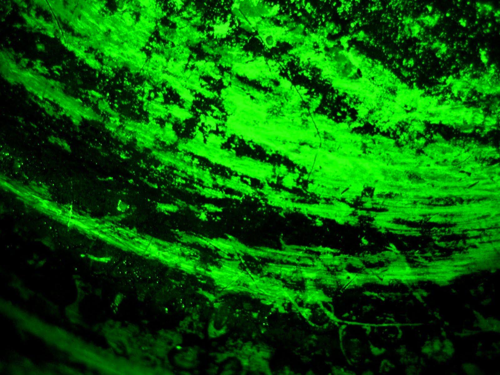 1600x1200 Black And Lime Green Wallpaper