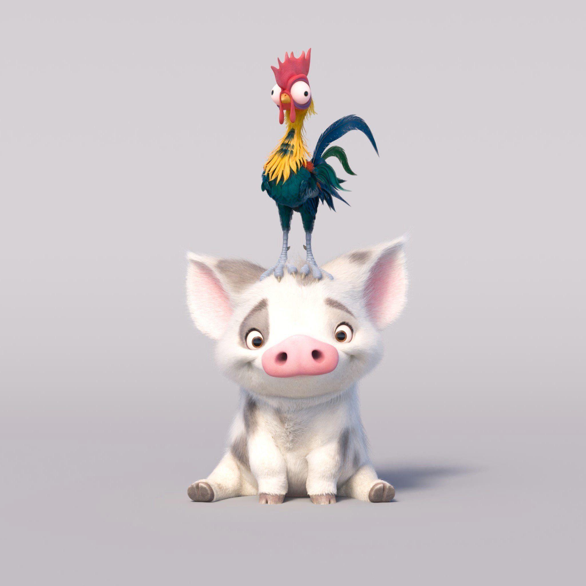 Moana Pig Wallpapers Top Free Moana Pig Backgrounds WallpaperAccess