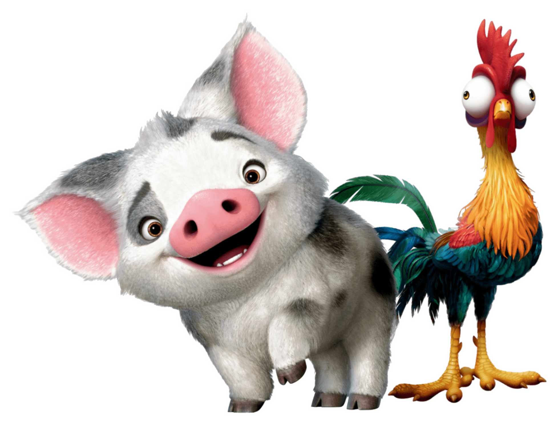 Pua Moana Wallpapers Top Free Pua Moana Backgrounds WallpaperAccess
