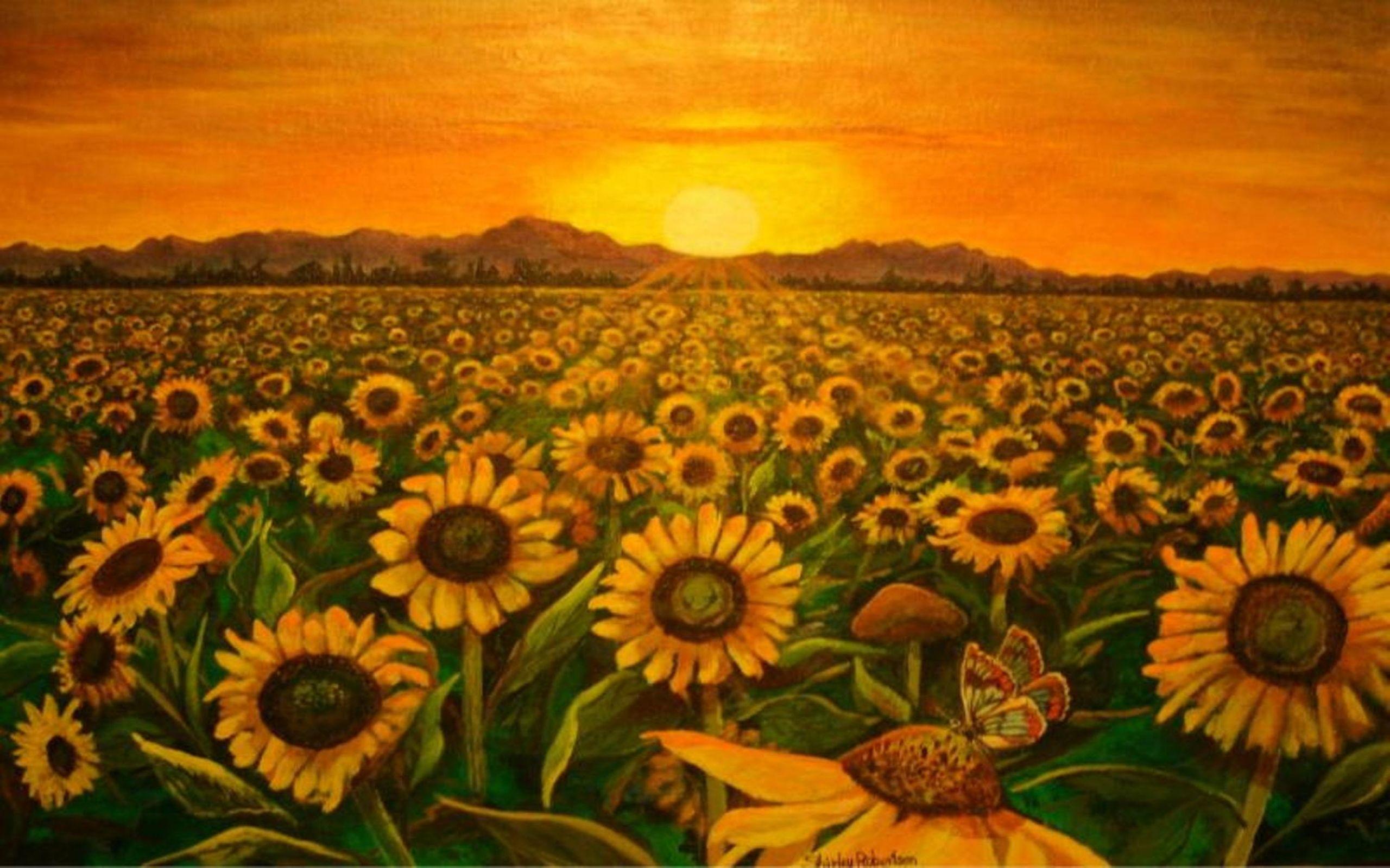 2560x1600 Sunflower Field Sunset Beautiful Wallpaper HD Flowers Sunflower