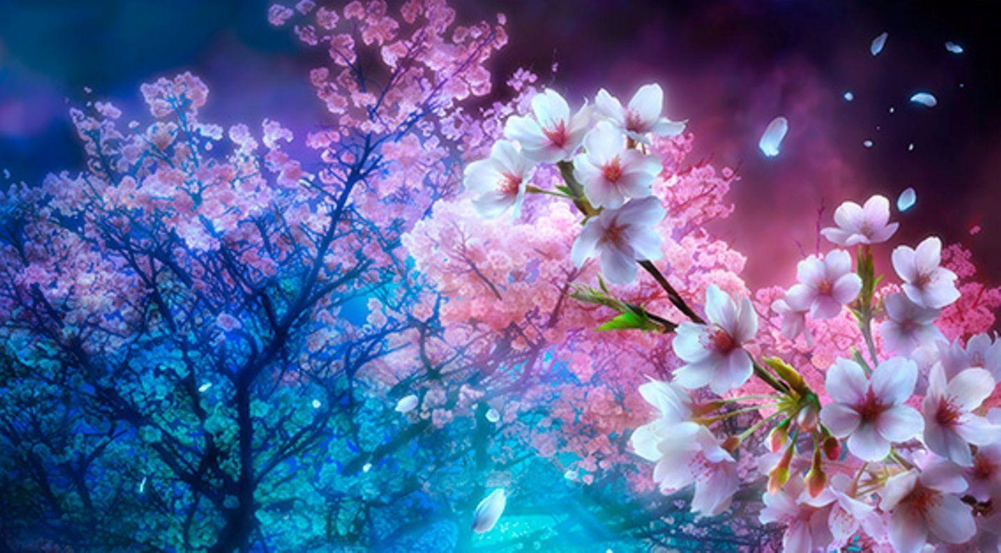 Featured image of post Desktop Cherry Blossom Night Wallpaper - Cherry blossom landscape wallpaper wallpapers.