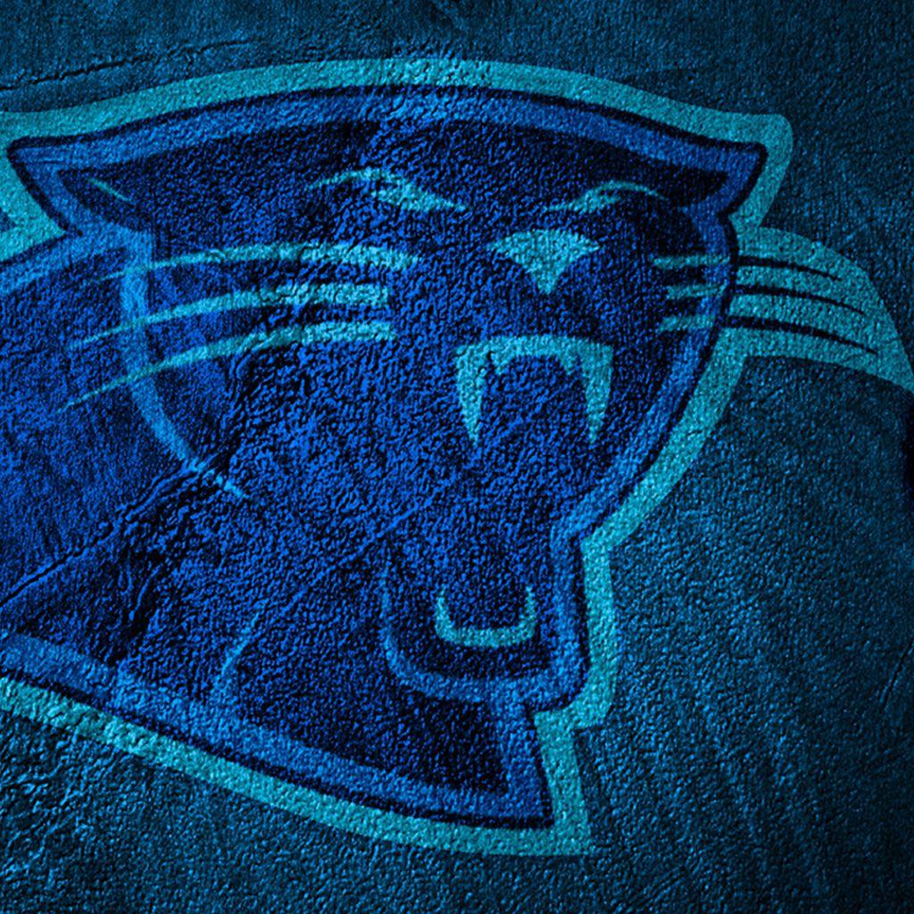 1024x1024 Carolina Panthers Team Logo iPad Wallpaper