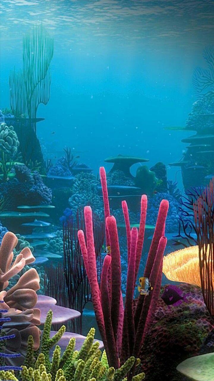 720x1280 loveofwallpaper. Sea animals, Ocean life, Underwater world