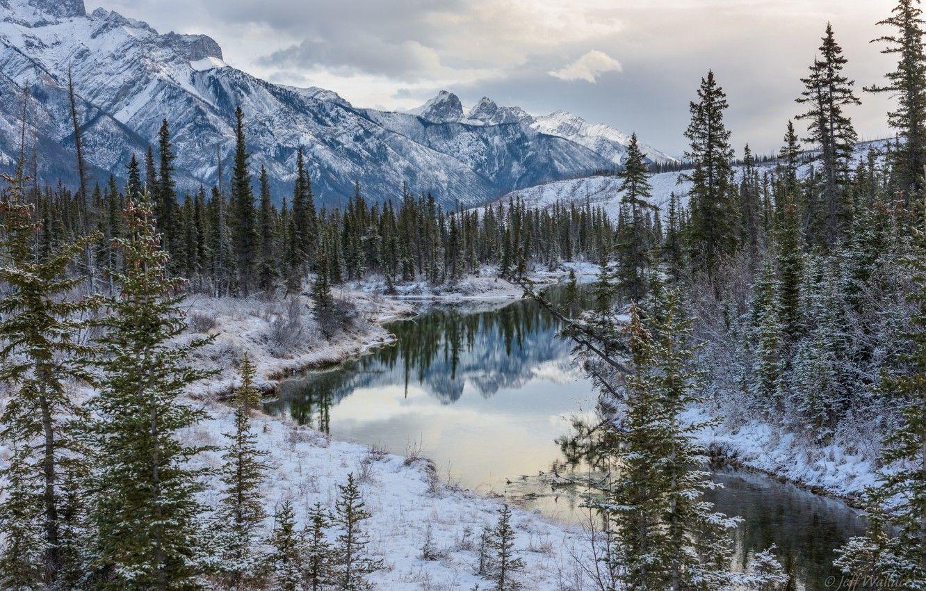 1332x850 Wallpaper winter, forest, trees, mountains, lake, Canada, Albert