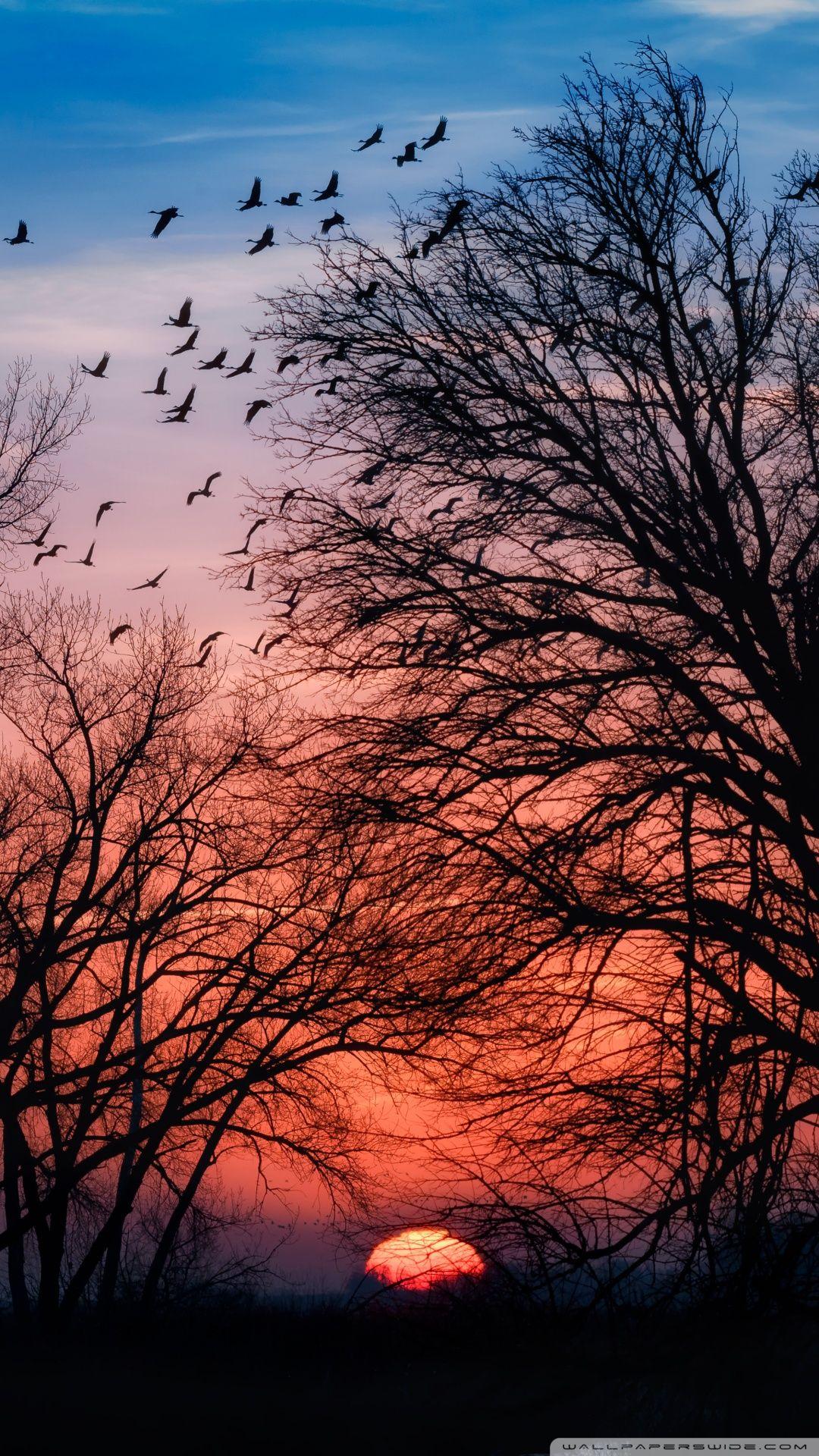 1080x1920 Beautiful Sunrise Ultra HD Desktop Background Wallpaper for 4K UHD