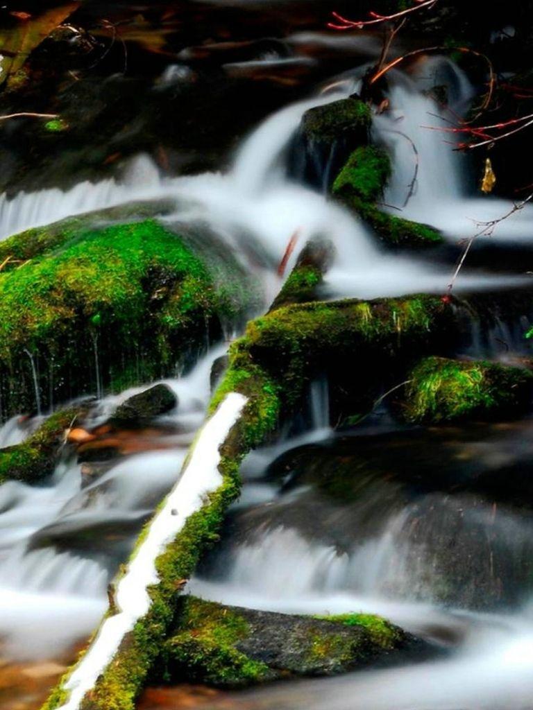 768x1024 Free download beautiful water green nature iPhone 6 wallpaper HD