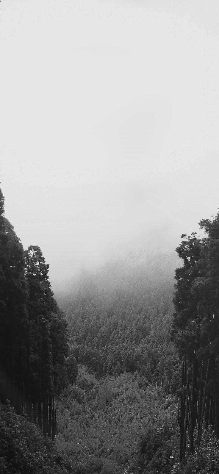 736x1593 iPhone X wallpaper : mountain mirror green wood nature dark