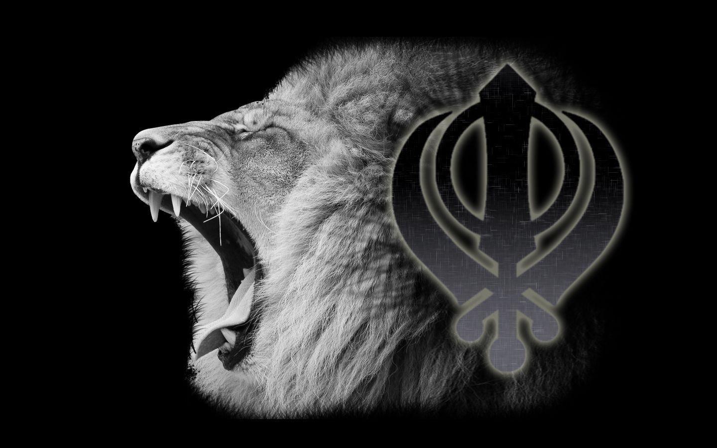 1440x900 Lion Wallpaper Khanda