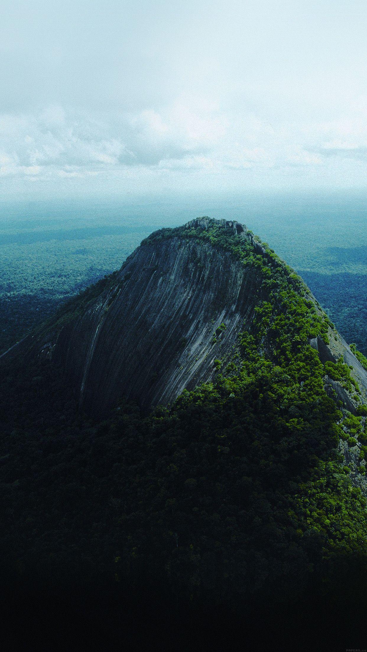 1242x2208 Great mountain view whale green nature Download Free Wallpaper
