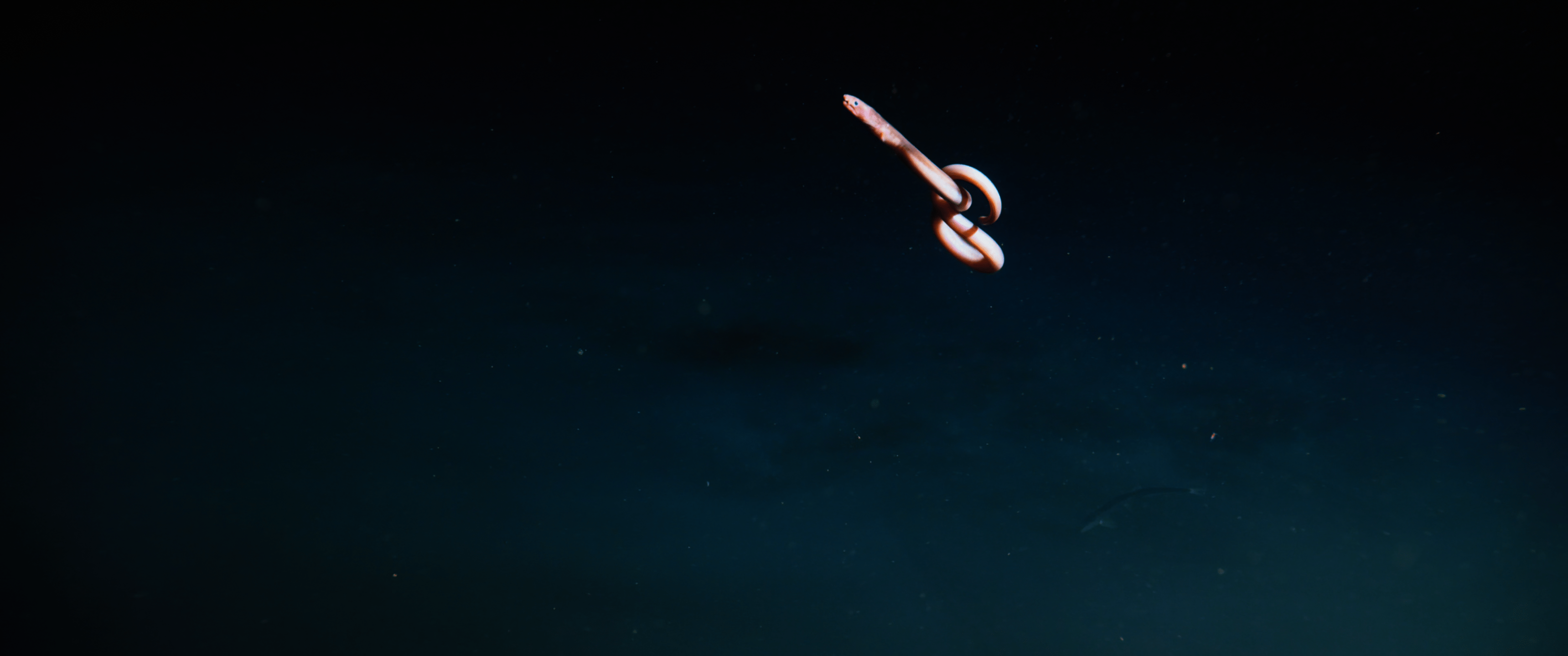 3439x1439 Blue Planet 2 UltraWide Wallpaper (4K UHD HDR Source) resized