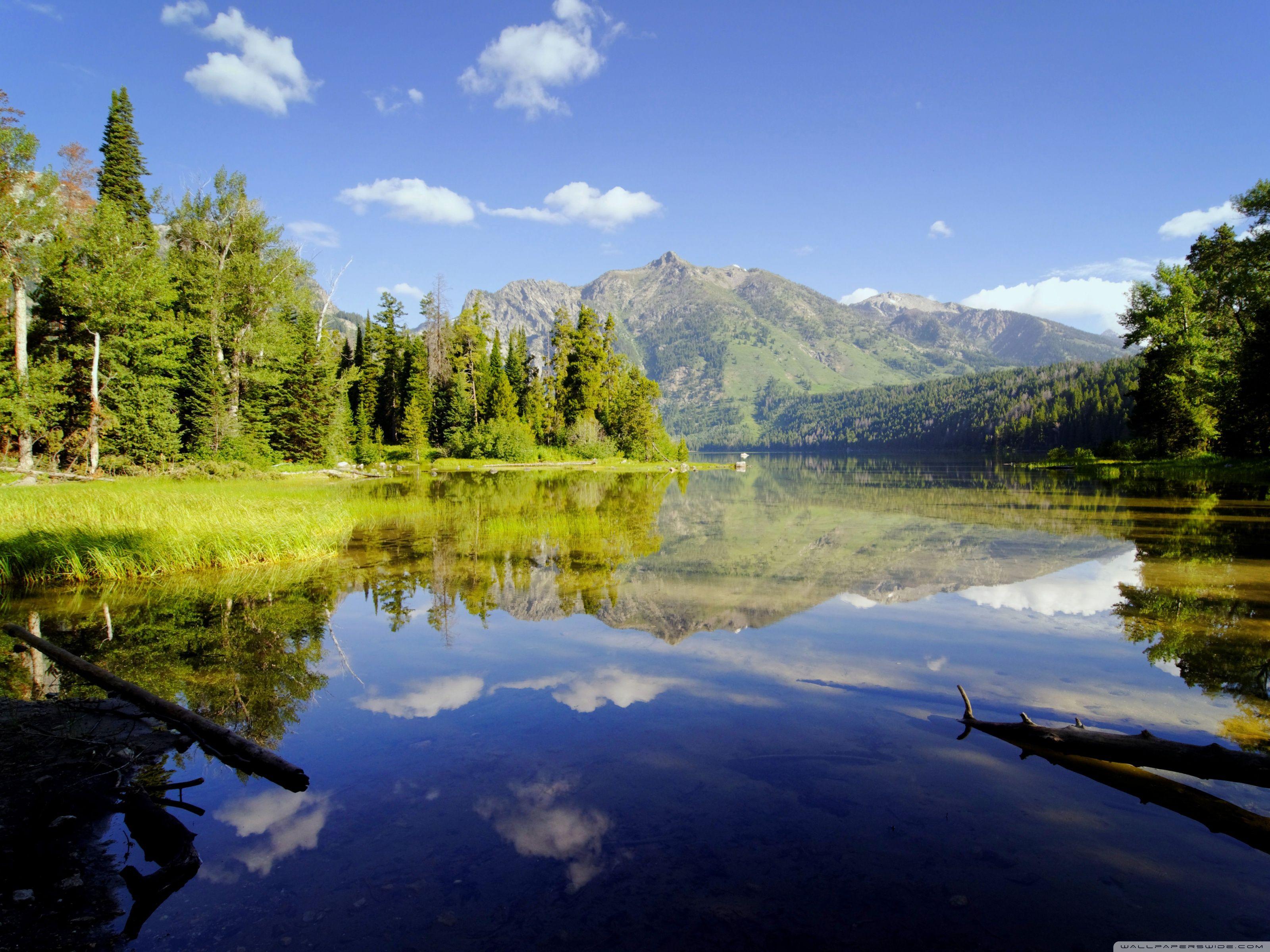 3200x2400 Wild Nature Ultra HD Desktop Background Wallpaper for 4K UHD TV