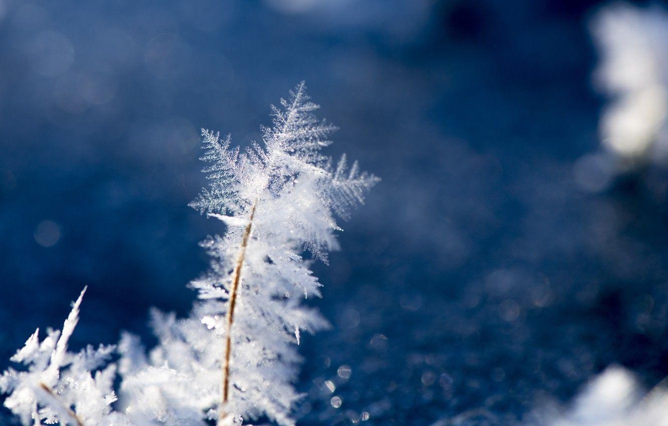 1332x850 Wallpaper Nature, Winter, Wallpaper, Ice, Macro image for desktop, section природа