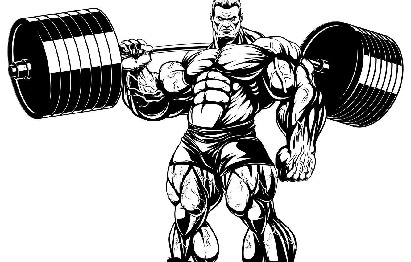 Bodybuilder png images  PNGWing