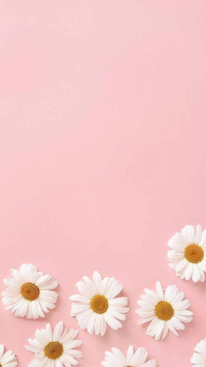 720x1280 Pinky Wallpaper for Android