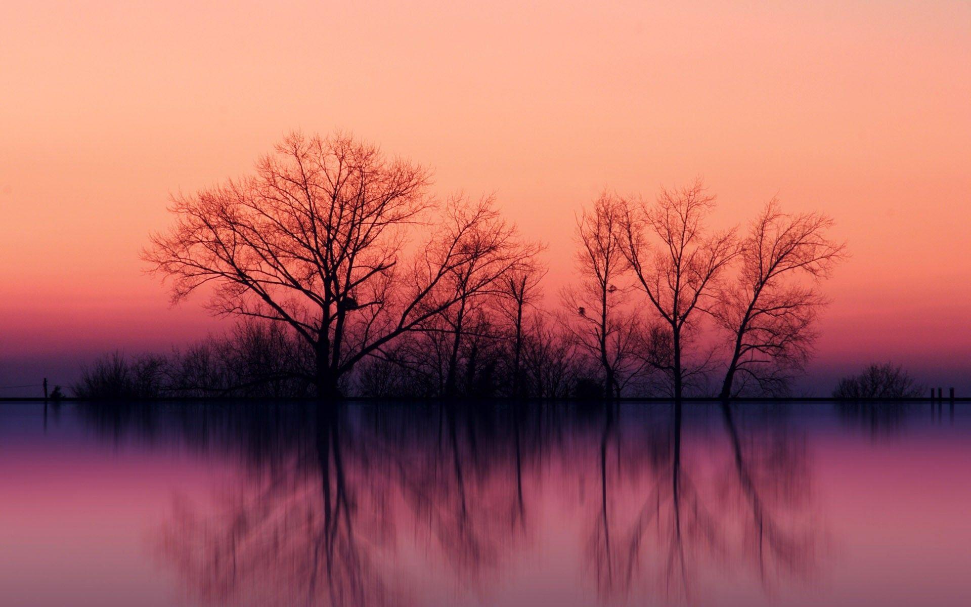 1920x1200 Pinky, nature, wallpaper, others, sunset