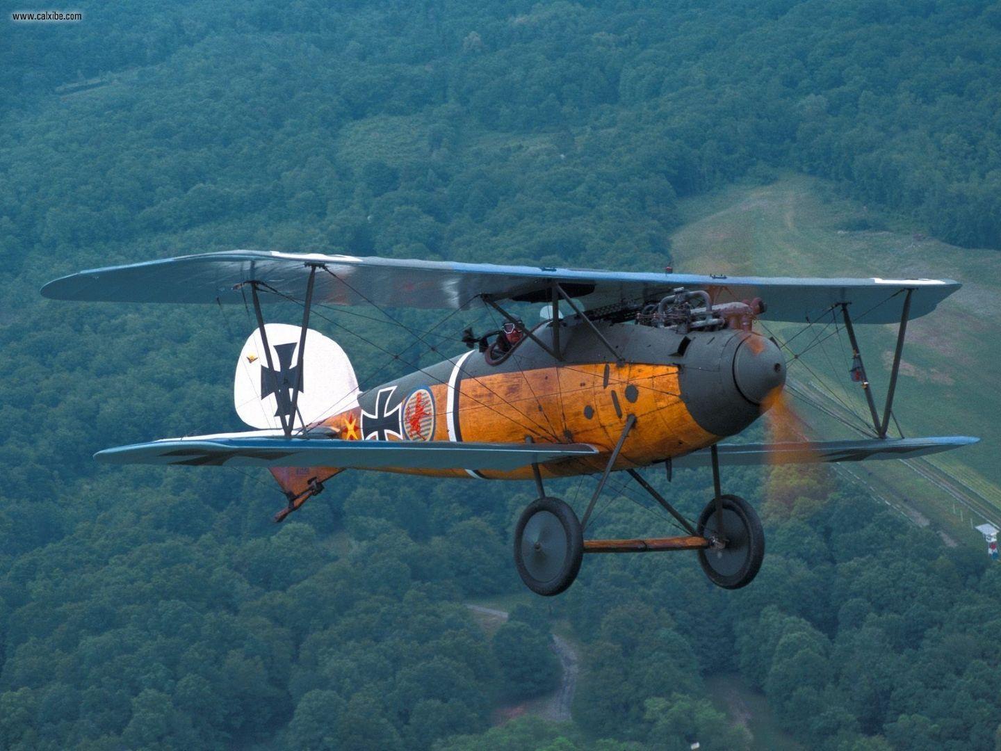 1440x1080 Aircraft / Planes: Old Rhinebeck Aerodrome Albatros Dva, picture