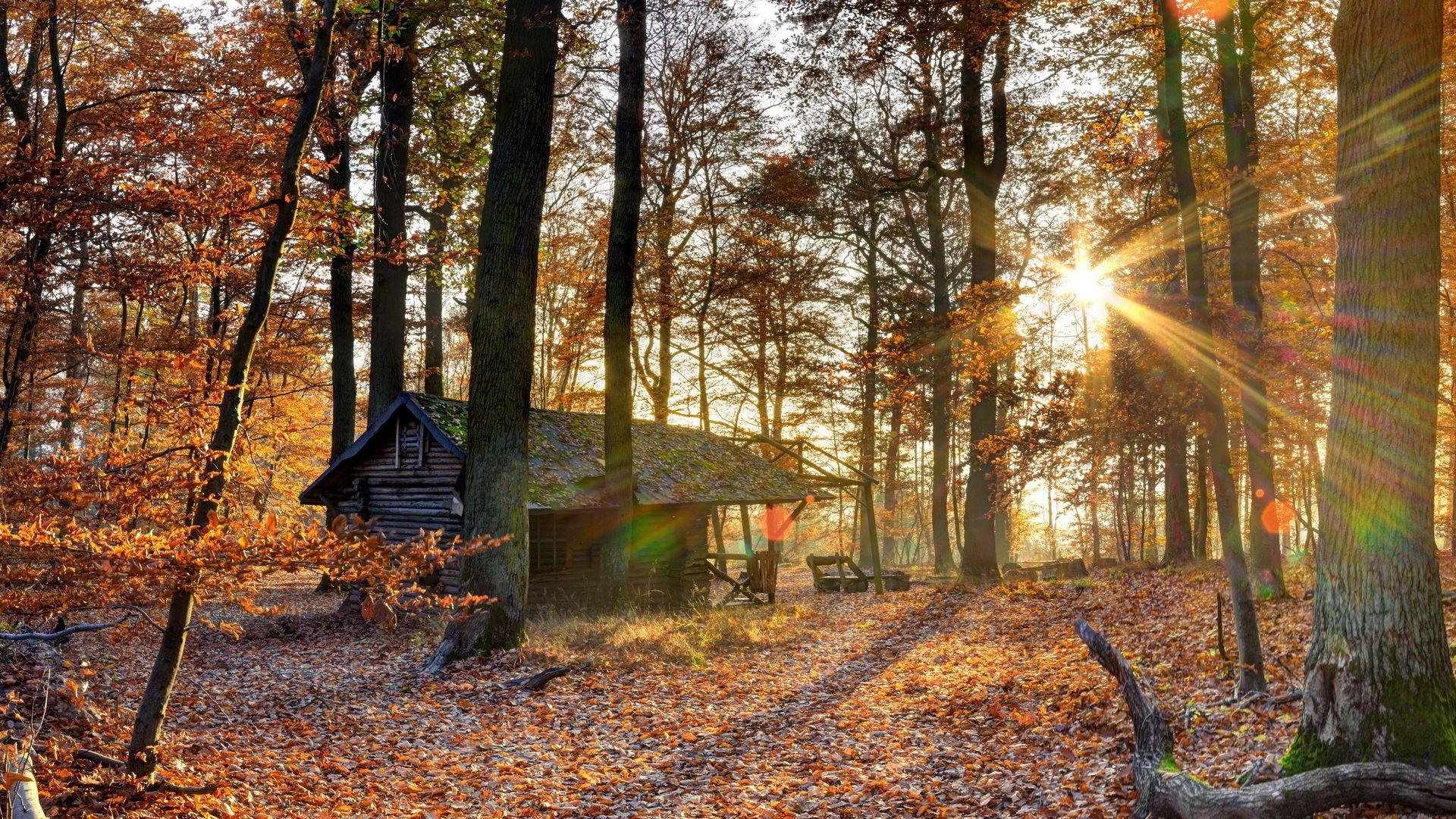 1920x1080 Cottage Life Wallpaper