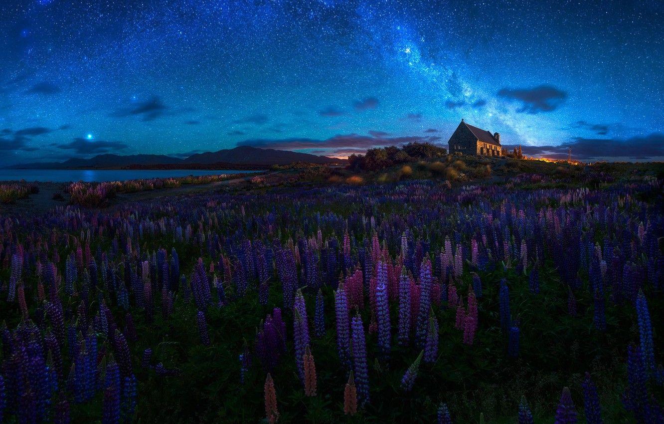 1332x850 Wallpaper summer, the sky, flowers, night, spring, New Zealand